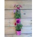 Hanging Plant Pot Holders